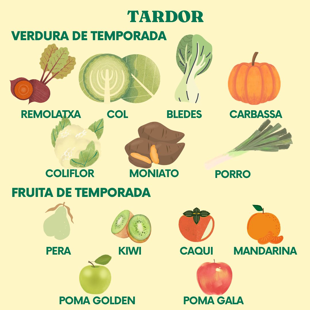 Dovella Serveis Escolars