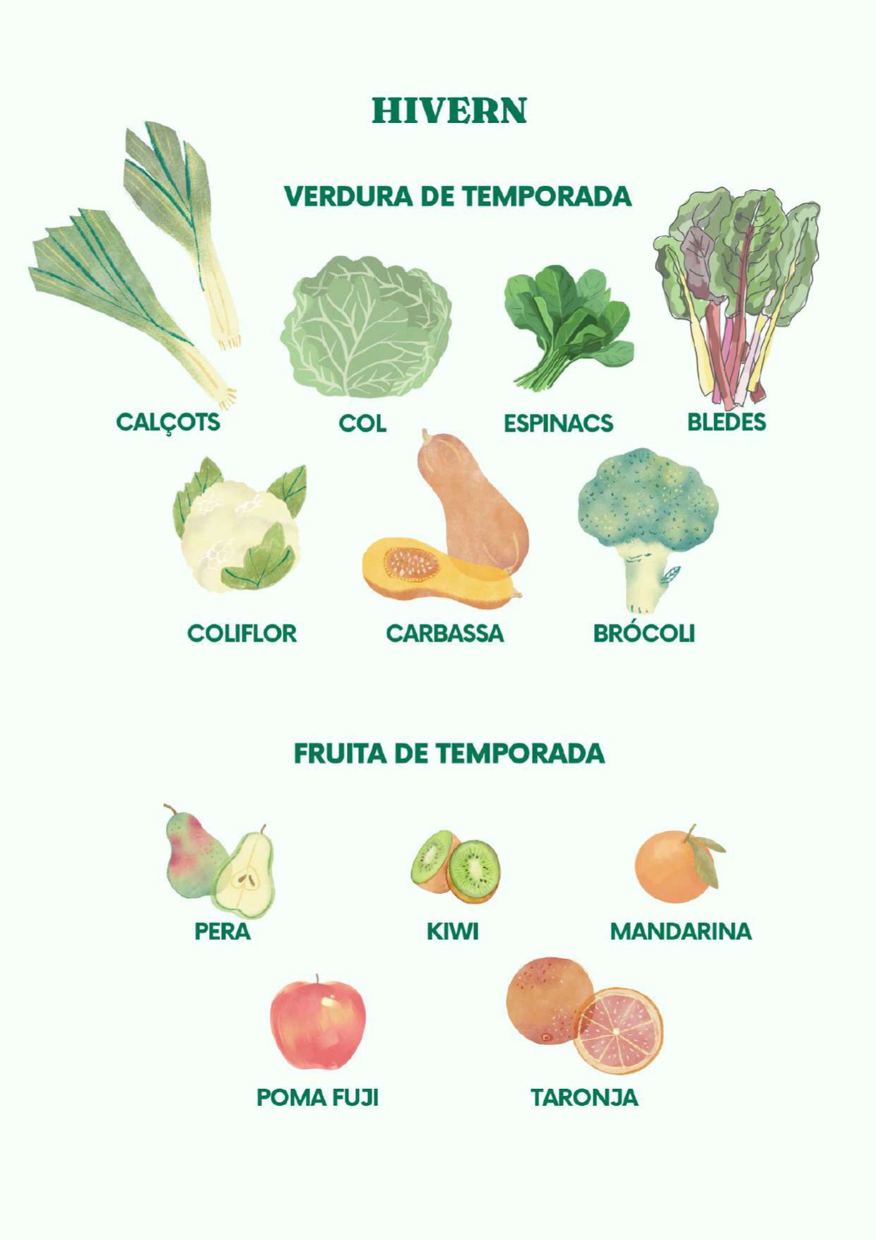 Dovella Serveis Escolars