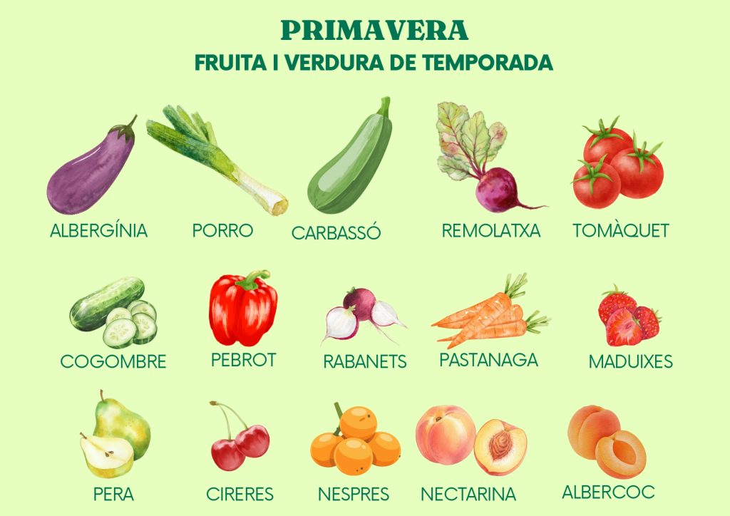 Dovella Serveis Escolars